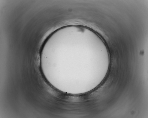 X0000100981509200807151403