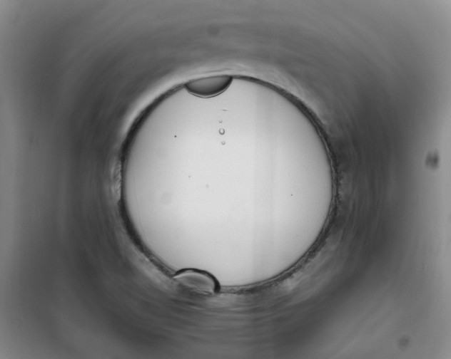 X0000100981510200807151403