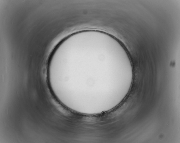 X0000100981511200807151403