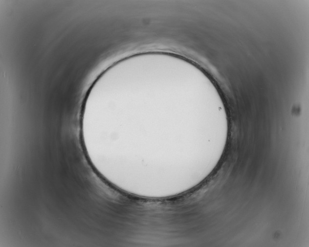 X0000100981512200807151403