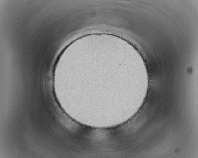 X0000100981514200807151403