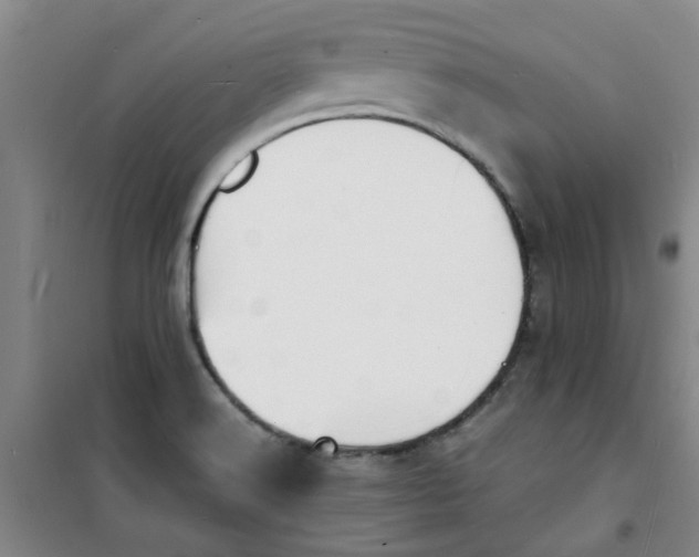 X0000100981516200807151403