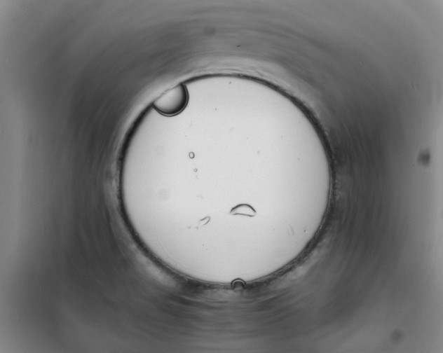 X0000100981517200807151403