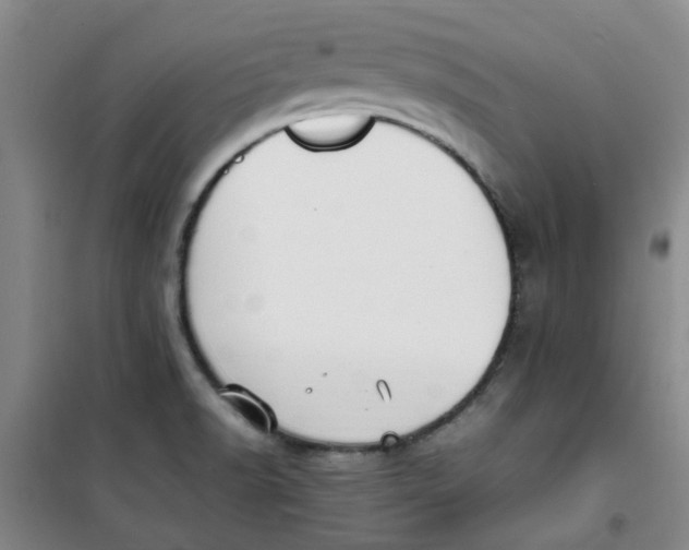 X0000100981518200807151403