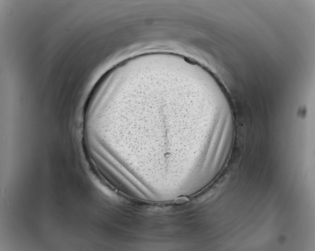 X0000100981519200807151403