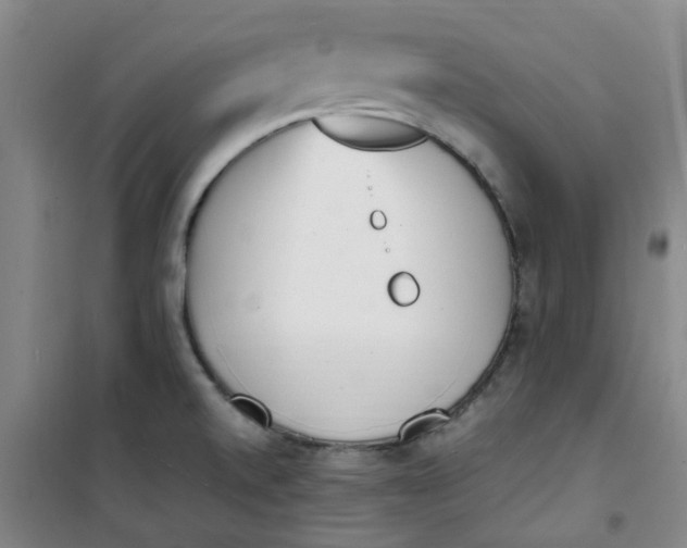 X0000100981520200807151403