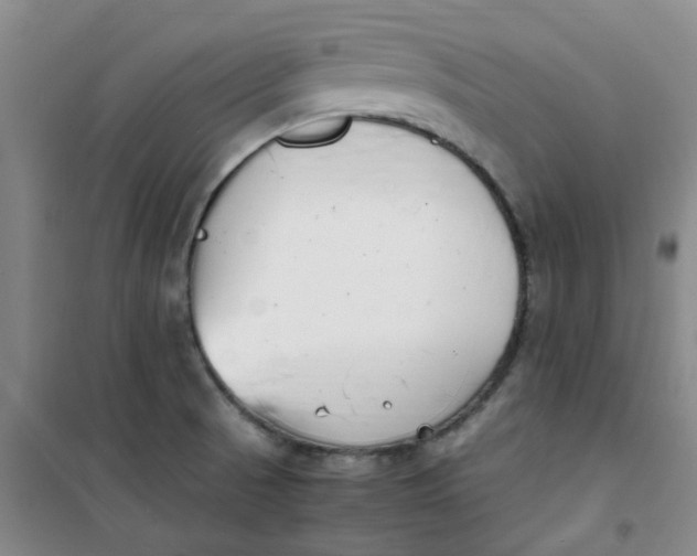 X0000100981521200807151403