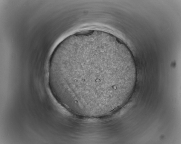 X0000100981522200807151403