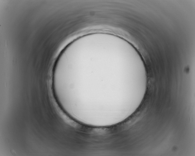 X0000100981523200807151403