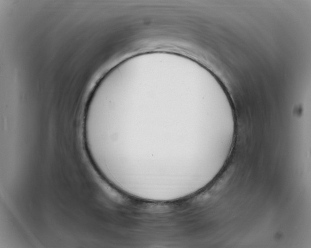 X0000100981525200807151403