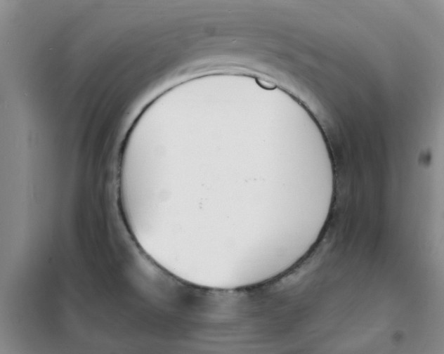 X0000100981526200807151403