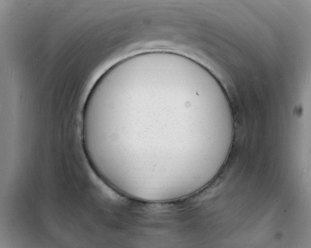 X0000100981527200807151403