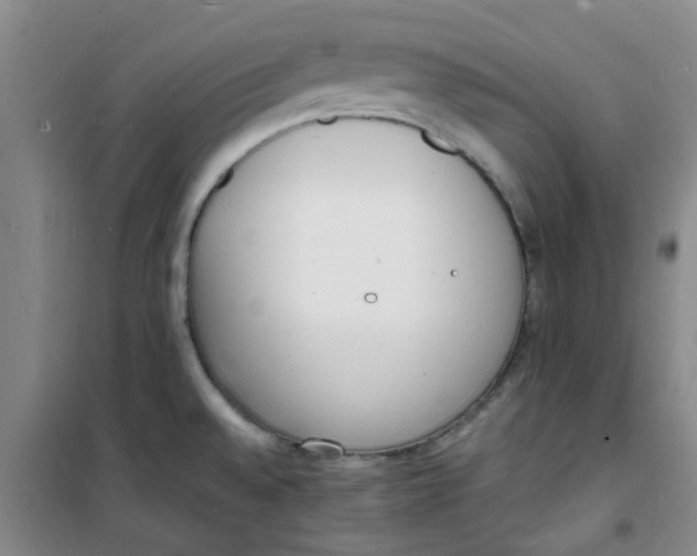 X0000100981528200807151403