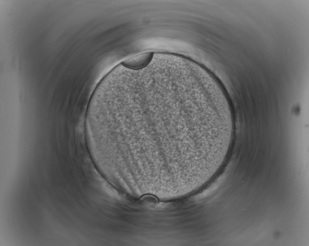 X0000100981529200807151403