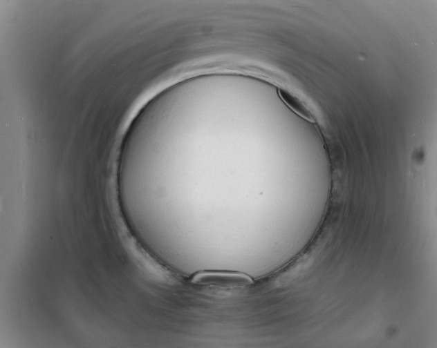 X0000100981530200807151403