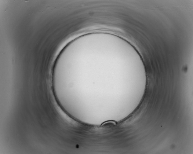 X0000100981531200807151403