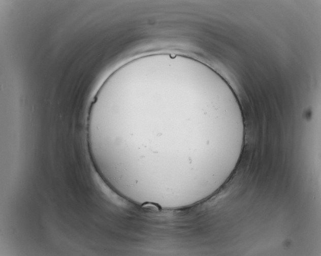 X0000100981532200807151403