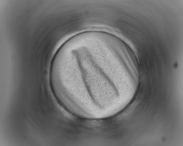 X0000100981533200807151403