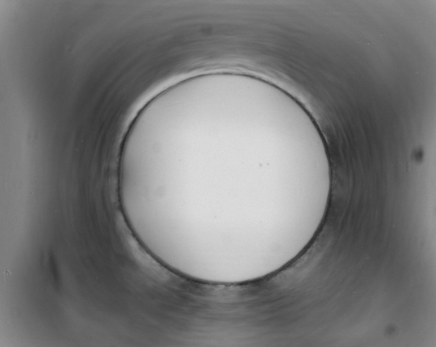 X0000100981534200807151403