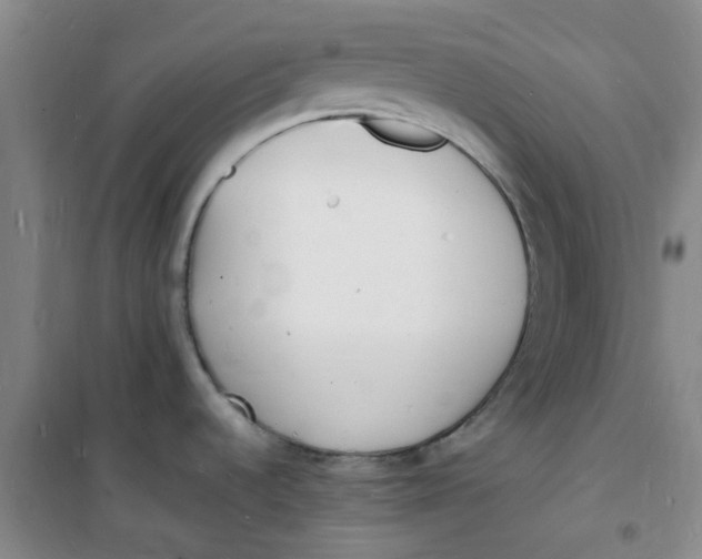 X0000100981536200807151403