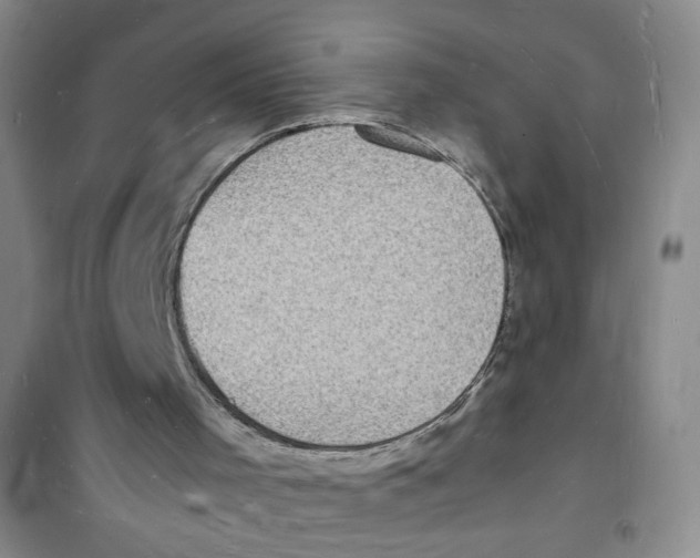 X0000100980001200807221244