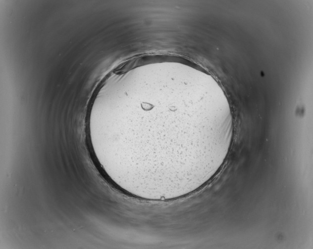 X0000100980002200807221244