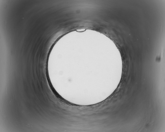 X0000100980003200807221244