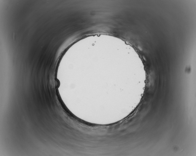 X0000100980004200807221244