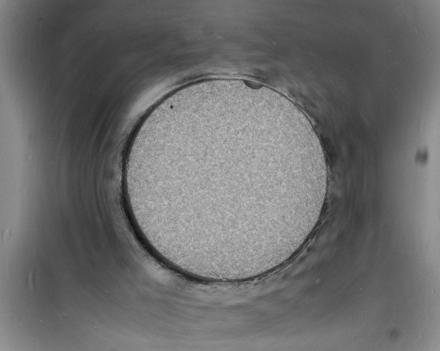 X0000100980005200807221244