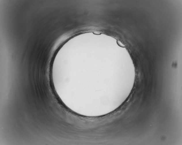 X0000100980006200807221244