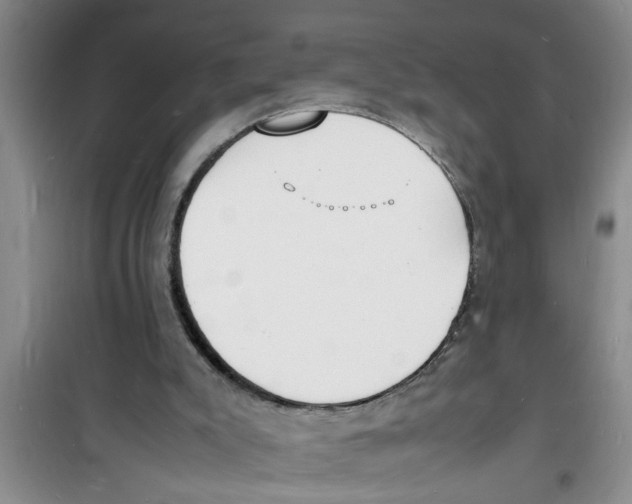 X0000100980007200807221244