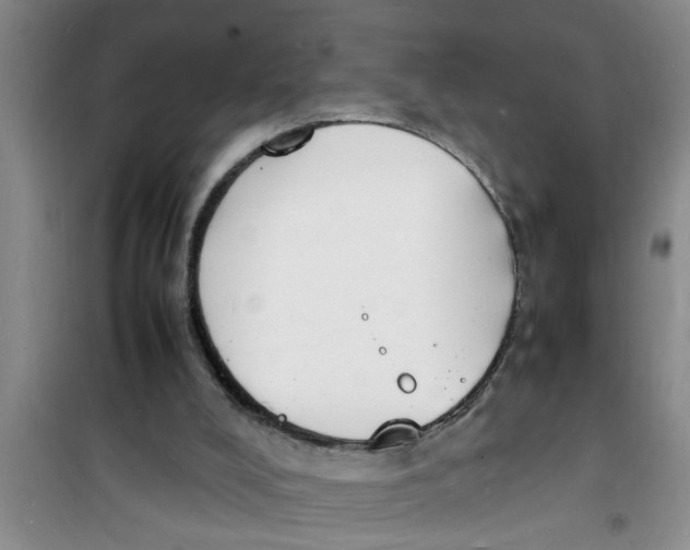 X0000100980008200807221244