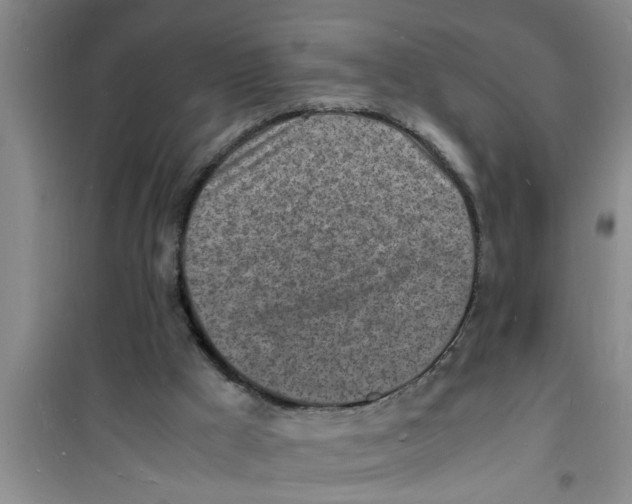 X0000100980009200807221244