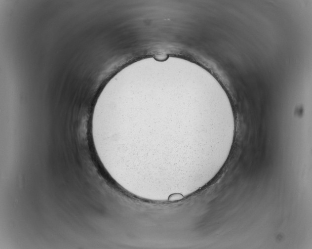 X0000100980010200807221244