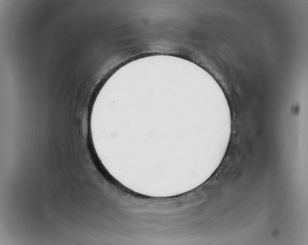 X0000100980011200807221244