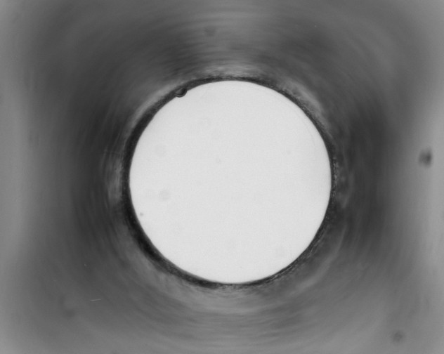 X0000100980012200807221244