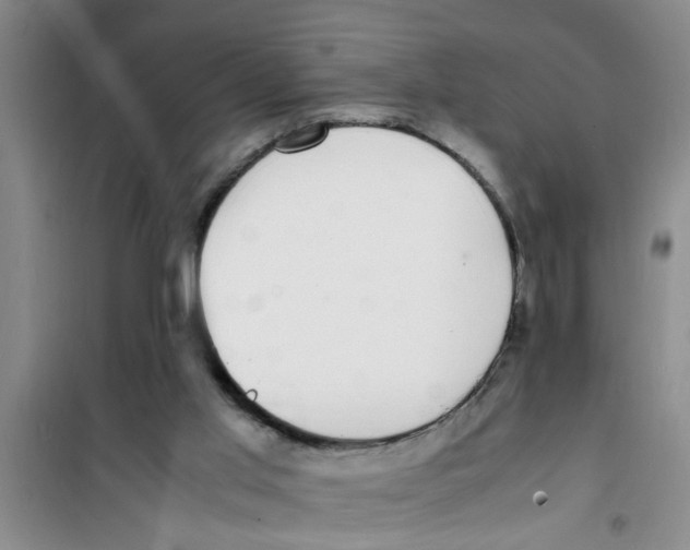 X0000100980013200807221244