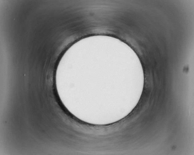 X0000100980015200807221244