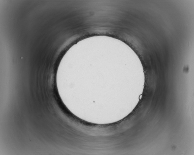 X0000100980016200807221244