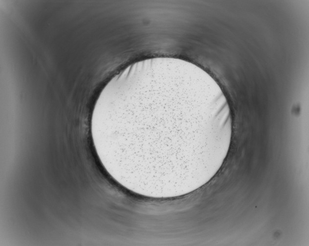 X0000100980017200807221244