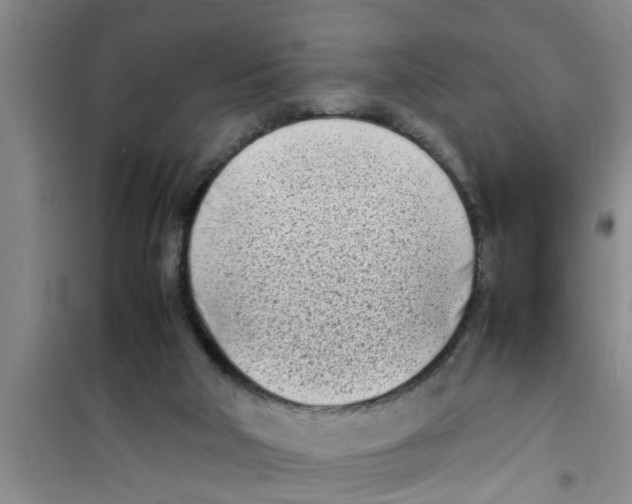 X0000100980018200807221244