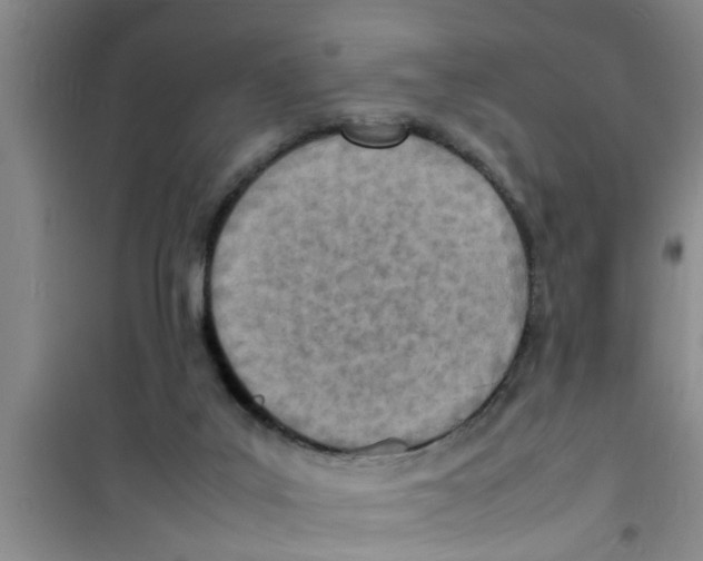 X0000100980019200807221244