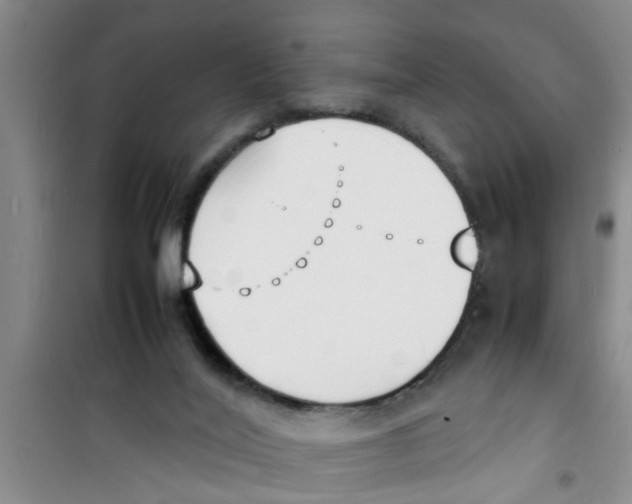 X0000100980020200807221244