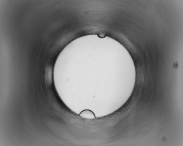 X0000100980022200807221244