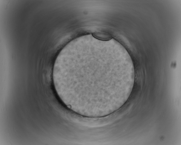 X0000100980023200807221244