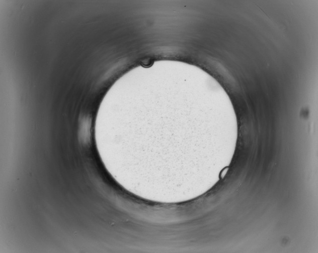 X0000100980024200807221244