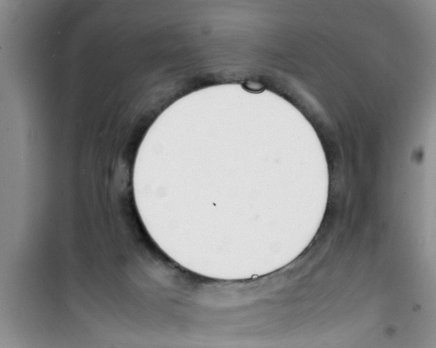 X0000100980025200807221244