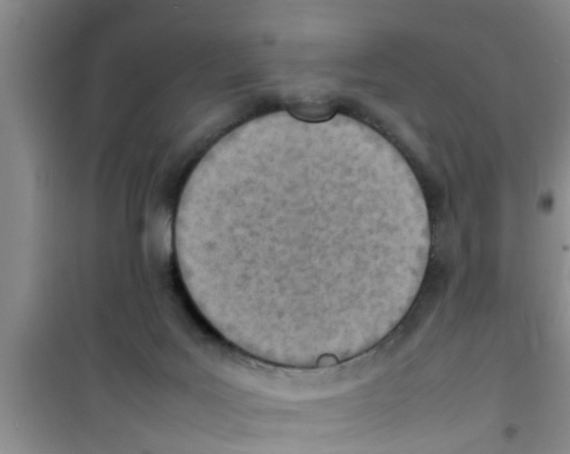 X0000100980027200807221244