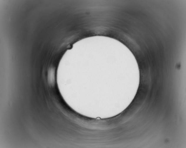 X0000100980028200807221244