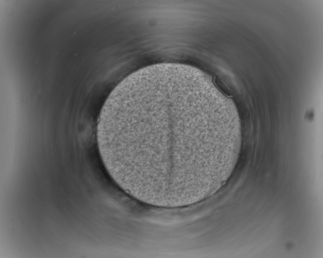 X0000100980029200807221244